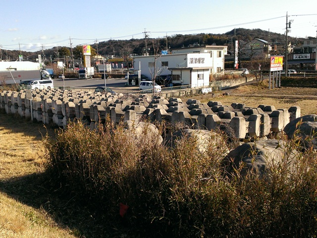 e0118846_1618284.jpg