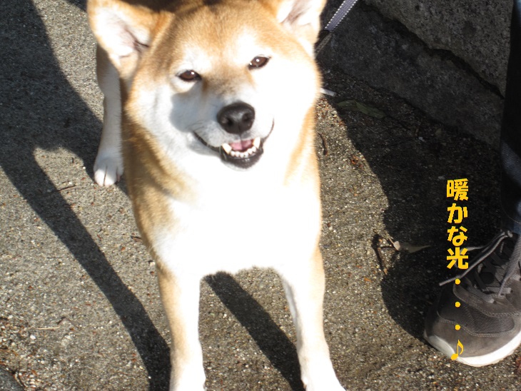 f0245650_823493.jpg