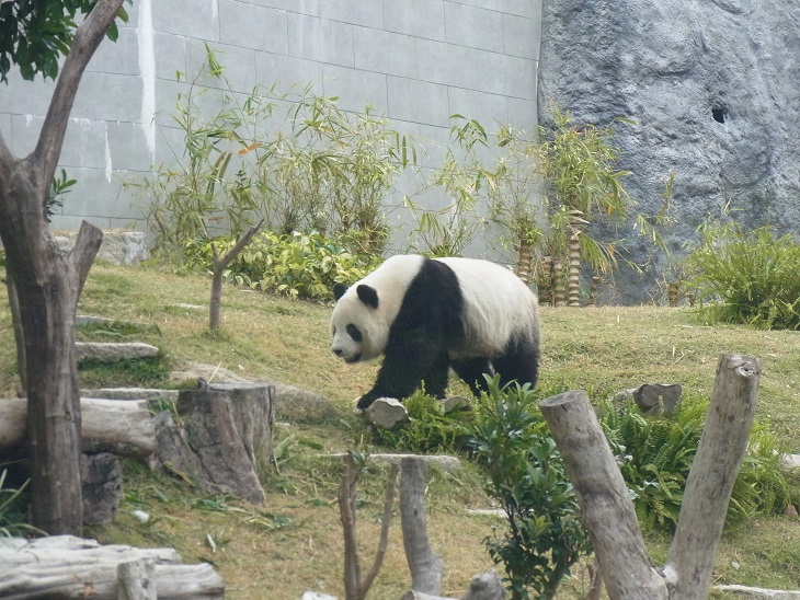 c0164052_1352507.jpg