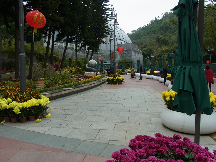 c0164052_7173761.jpg