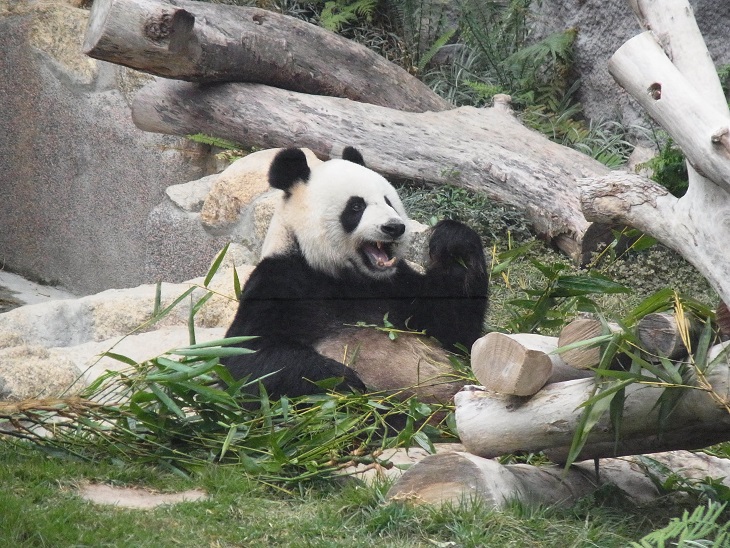 c0164052_7353168.jpg