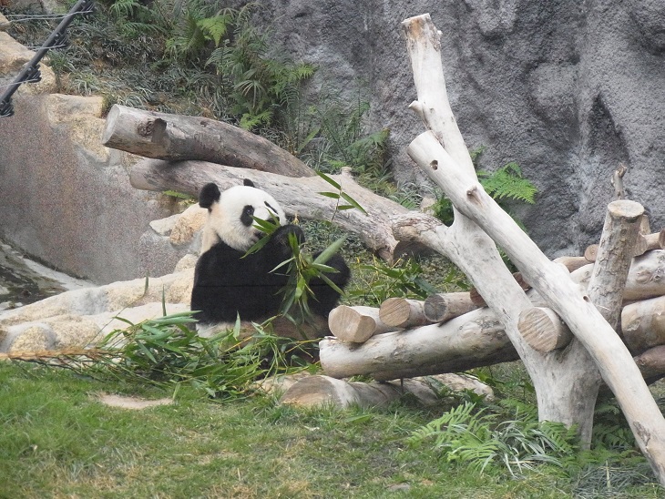 c0164052_7371127.jpg