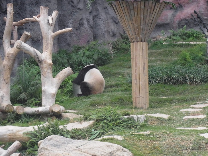 c0164052_7395791.jpg