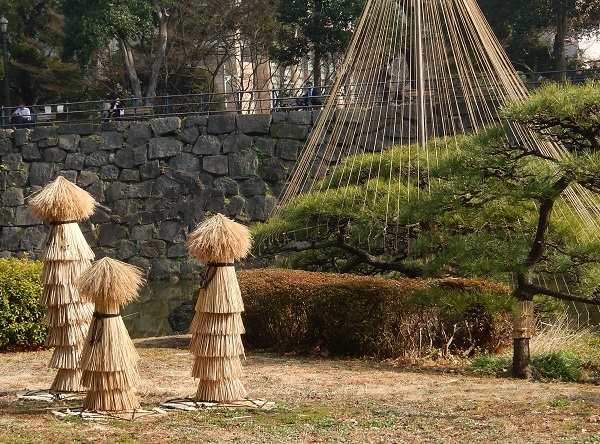 　　　　　　　　　　　　　　　　　　　　　　　　　気温１８度の日（３日）_d0075453_22554811.jpg