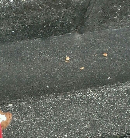 a0284956_2334323.jpg