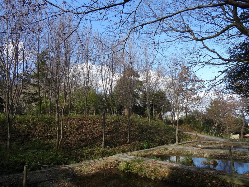 c0108460_17050925.jpg