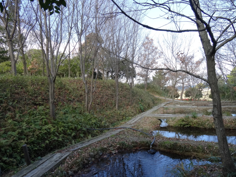 c0108460_17092081.jpg