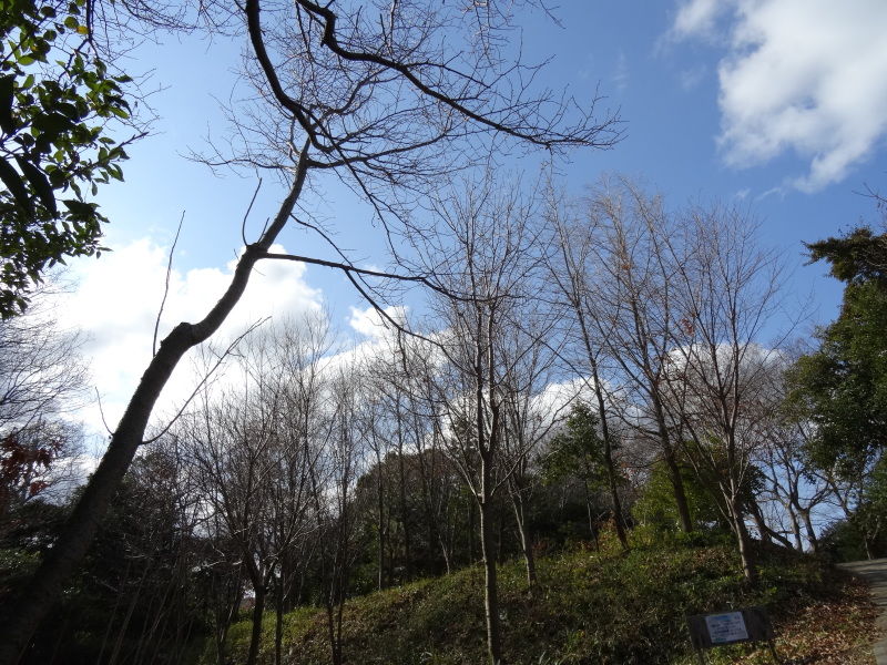 c0108460_17093560.jpg