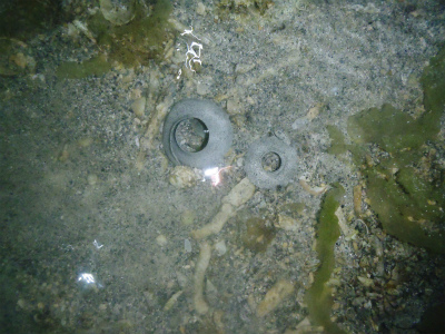 c0180460_1404870.jpg