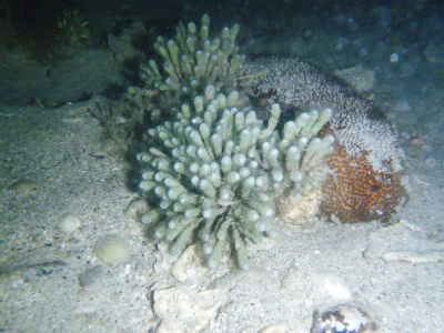 c0180460_14131759.jpg