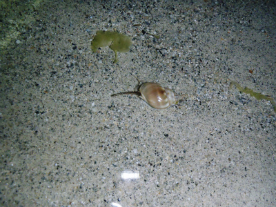 c0180460_1413428.jpg