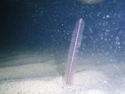 c0180460_141404.jpg