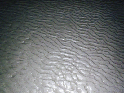 c0180460_14144528.jpg