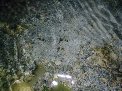 c0180460_1432088.jpg