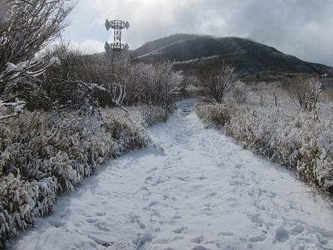 【雪の越前岳へ　富士山を探して。】_f0202271_20541288.jpg