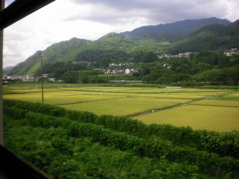 真夏の北陸ローカル線4(高山本線)_b0005281_1941968.jpg