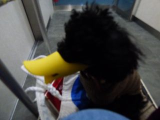 2014年2月5日 データー取り出せない。。涙_b0098584_1338316.jpg