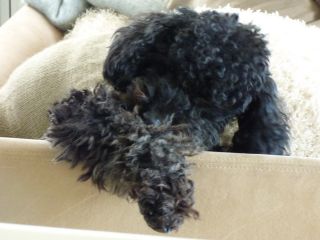 2014年2月5日 データー取り出せない。。涙_b0098584_13393011.jpg