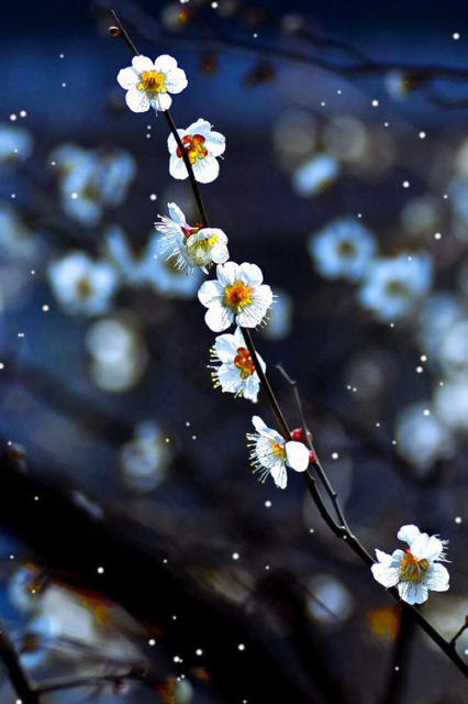 b0134285_14233373.png