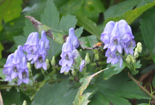 d0321585_13572120.jpg