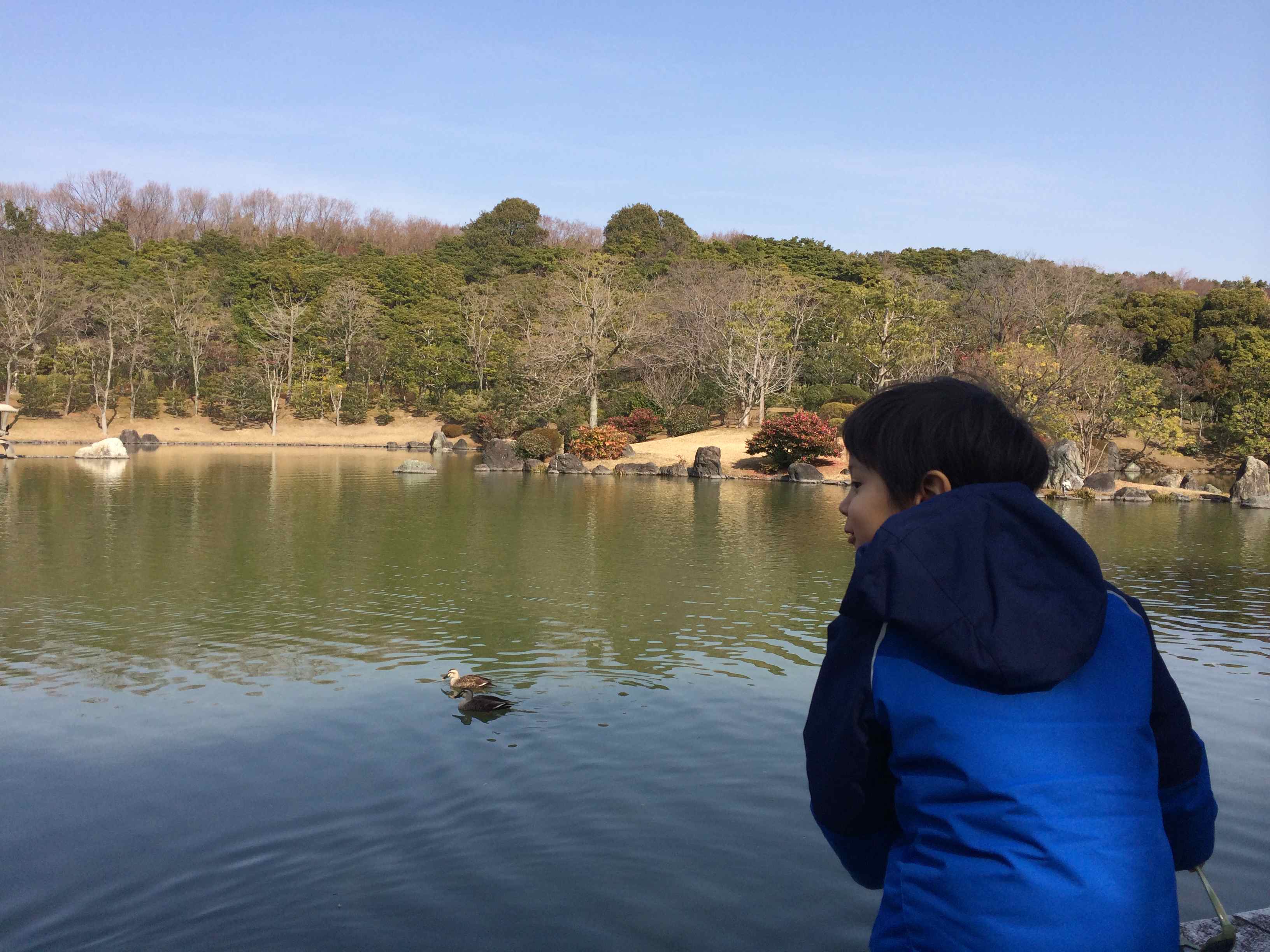 日本庭園_b0061491_2139483.jpg