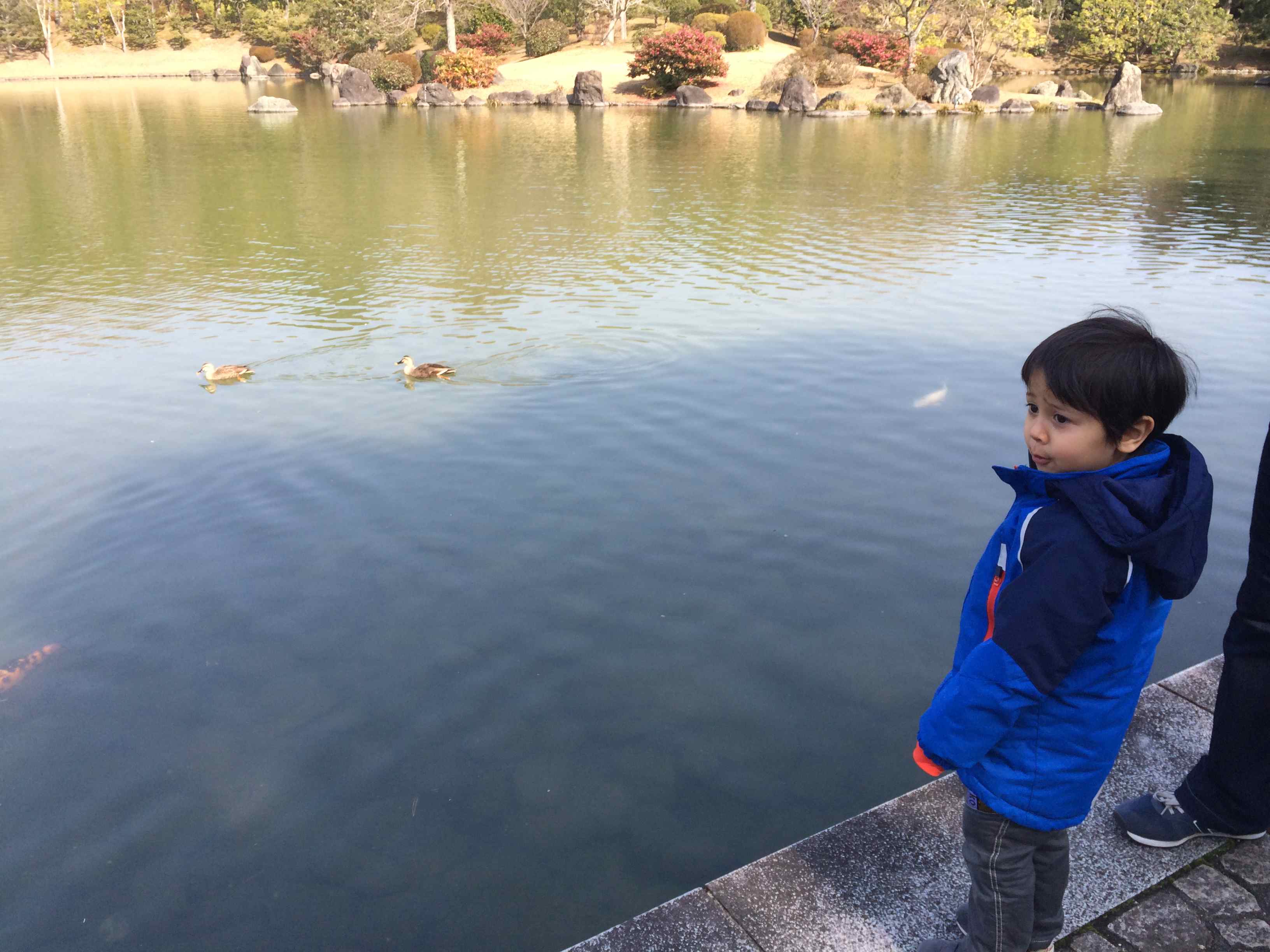 日本庭園_b0061491_21402579.jpg