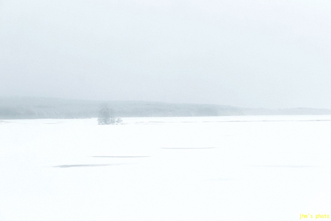 a0158797_12304834.jpg