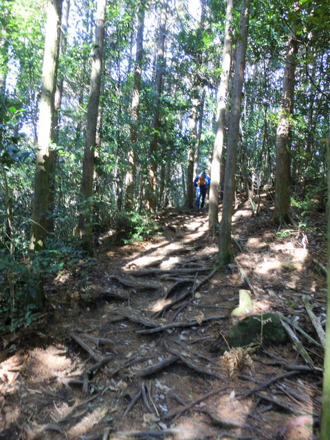 旧牧園町をぐるり　（霧島市牧園町）_d0257697_172038.jpg