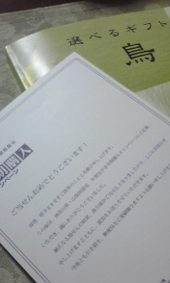 e0246703_013314.jpg