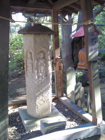 日吉本町〜高田を訪ねて_b0228416_11273757.jpg