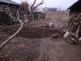 c0192418_9493894.jpg