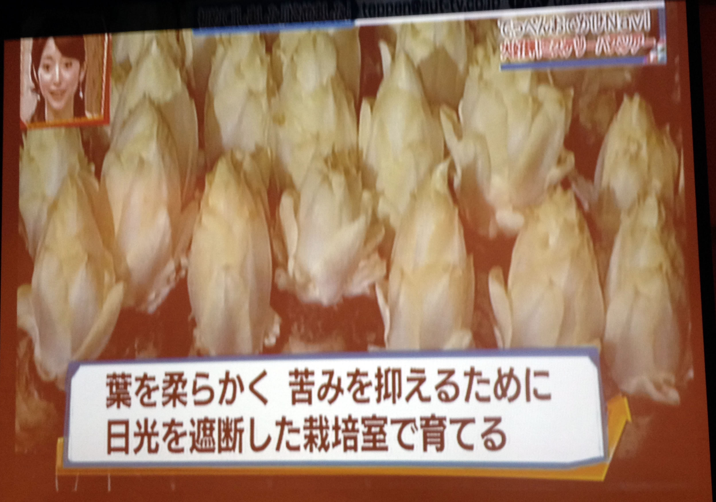 てっぺん静岡で放送されました。_d0063218_137249.jpg