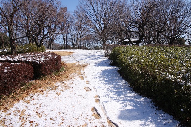 e0117318_1853366.jpg