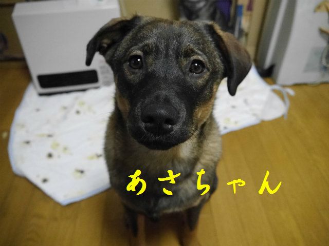 f0282319_1143449.jpg