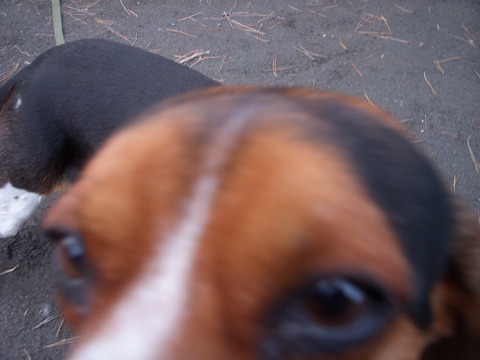 f0260120_22365058.jpg