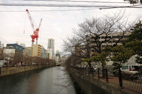 寒と休眠_a0259130_16552013.jpg