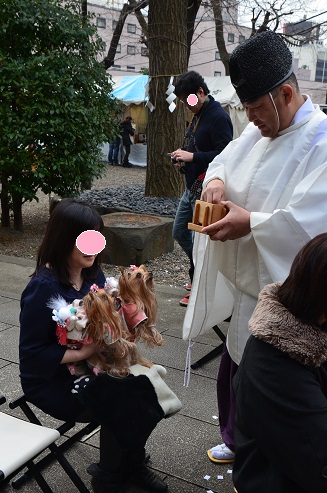 市谷亀岡八幡宮さま　ペットと一緒の初詣_f0124830_12584390.jpg