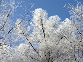 f0199847_10145262.jpg