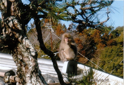 e0164951_22571955.jpg