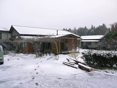 積雪3cm!! 本日の天気:雪のち曇り_a0254656_1630484.jpg
