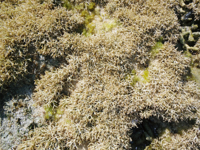 c0180460_1104678.jpg