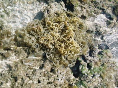 c0180460_110477.jpg