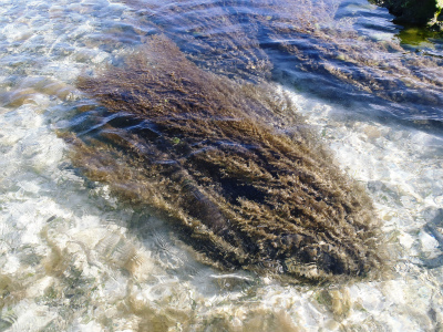 c0180460_1113377.jpg