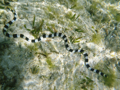 c0180460_1132332.jpg