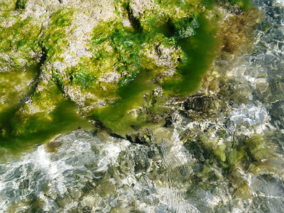 c0180460_17686.jpg
