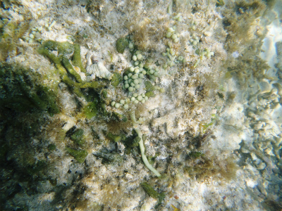c0180460_18068.jpg
