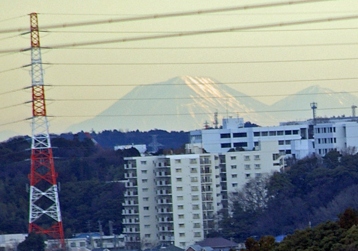 「北鎌倉ウォッチング」探訪！六国見山のシンボル『夫婦桜』_c0014967_17371814.jpg
