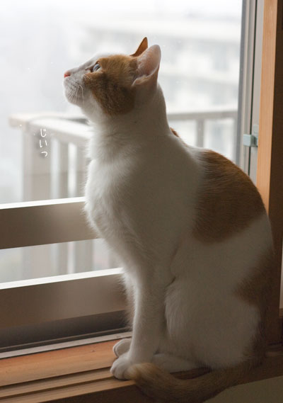 a0119470_373886.jpg