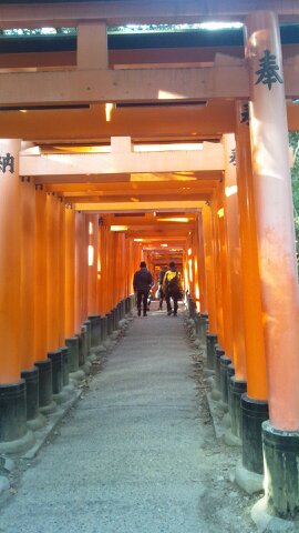 京都出張 伏見稲荷大社_d0230676_1834776.jpg