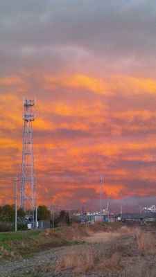 f0138278_16362750.jpg